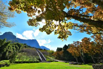 豐山漫步雲端步道賞花觀瀑行【寒溪呢森林人文叡地、豐山風景區觀景台、蛟龍瀑布、大風埕觀日峰、油車寮步道】