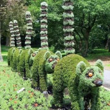 蒙特利尔植物园+唐人街+美术馆+老港钟楼