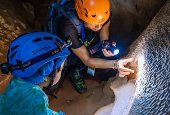 【明星同款】西双版纳勐远仙境夜游萤火虫+溶洞探险+五行营养餐【[夜探溶洞]地质科普，在专业向导带领下揭秘26种神奇的洞穴生物，真正的云南虫谷：新西兰同款萤火虫】