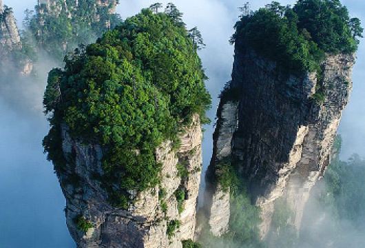 8人小团纯玩中英拼团张家界旅游国家森林公园一日游可选土家体验【[打卡核心景点]金鞭溪+袁家界+百龙天梯+阿凡达山+十里画廊】