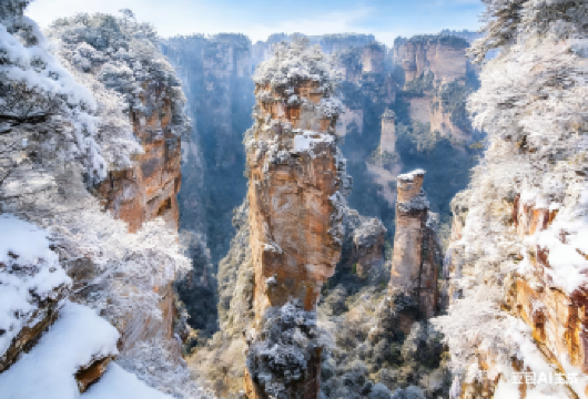 【DIY私家团】张家界国家森林公园（阿凡达）一日游 私人定制【[尊享礼遇]可自选专属VIP通道优先通行，大幅减少排队，刚需：电梯+索道VIP，节日推荐全程VIP】