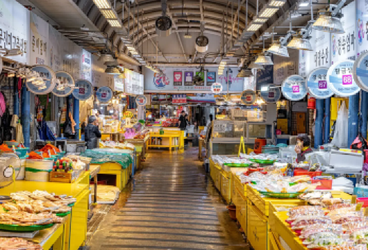 【济州岛中文用车】济州岛市区接送机/市区自选景点一日游【告别公共交通的烦恼，迎接直达路线和灵活的时间安排。】