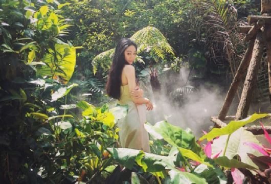 厦门园林植物园+集美学村+海上小火车一日游【15人纯玩团】【[幻入仙侠 · 一日奇境]上午游览植物园自然秘境，下午穿越至沉浸式仙侠光影世界，两大热门景点双重体验】