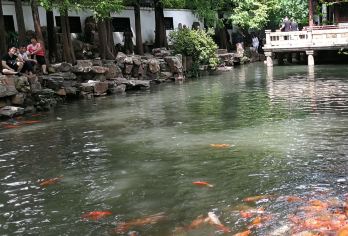 中国共产党第一次全国代表大会会址+豫园 深度讲解 含耳麦【经典红色场馆，牢记历史，感怀先辈奋斗之精神。】