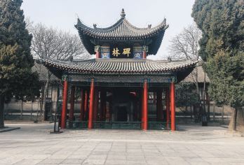 西安碑林博物馆10人小团：3H沉浸式深度讲解&寻访千年碑刻【[10人臻选小团·3小时沉浸体验]深度互动与观碑体验，系统解读“石质书库”碑林博物馆精华石刻】