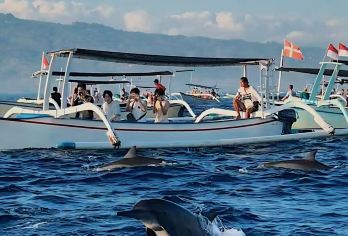 巴厘岛罗威纳追海豚+海钓一日游【专车接送+海钓用具】可定制【网红系列[小Red书网红博主力推，无需滤镜张张是大片]】