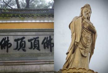 普陀山风景区一日游【自由行 解决交通烦恼 含来回车船门票】【祈福专线，保证1人1座，天天发车，自由选择，轻松旅途，不再让排队买票成为您的烦恼】