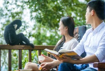 普洱太阳河森林公园+小凹子咖啡庄园一日游【市区上门接送】【[高端小团]不奔波不赶路，睡醒出发，市区接送】