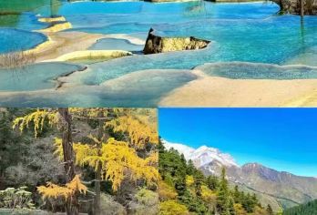 包车九寨沟酒店游览黄龙景区送黄龙九寨高铁站/松潘高铁站VIP【早晨轻松出发，全天深度游览黄龙景区无负担】