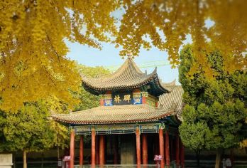 盛迹说 西安碑林博物馆半日游 人工精讲15人团【15人小团，区别于30-40人团，人少互动多，配备耳机，照顾每个人视听感受！】