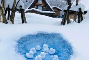日本名古屋飞驒高山+白川乡一日游【漫步高山阵屋古街，在百年老铺中感受江户时代商町的繁华余韵！从建筑到美食，一日解锁深度文化体验！】