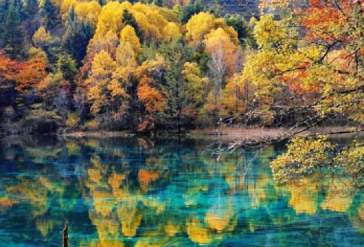 九寨沟一日游【2-8人小团｜可选动车往返｜限时专属福利】【[套餐介绍]A包含门票+不含动车票；B不含门票+动车票；C包含门票+含动车票；D不含门票+含动车票】