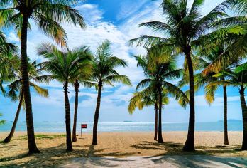 椰风海韵畅享包车一日游：南山海上观音+天涯海角+椰梦长廊【祈福文化、纪念打卡与自然日落，一站式解锁三亚核心魅力。】