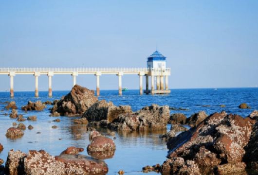 防城港一日游+白浪滩+白龙古炮台+怪石滩【坚决不进任何购物店，品质纯玩，还原旅游本质。】