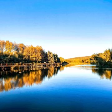 金山鹿苑+九峰养心谷一日游