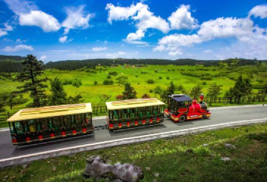 重庆仙女山森林公园一日游【8人小团·纯玩无购物】【纯玩仙女山】