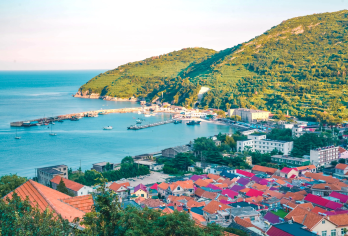 青岛崂山风景区+崂山仰口游览区+崂山太清游览区一日游【[精华景点]仰口+太清+赶海+网红环海公路+青山渔村打卡】