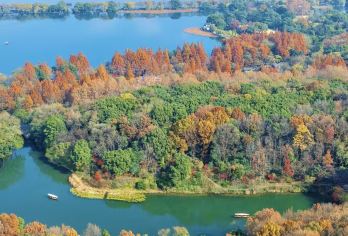 杭州幽赏西湖一日【登三潭印月岛+食东坡定食+浙博孤山馆精讲】【三潭印月岛：乘西湖游船登三潭印月岛，沿途欣赏西湖水中胜景。远观雷峰塔。苏堤春晓、柳浪闻莺、南屏晚钟等】