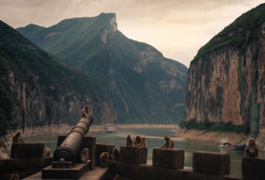 白帝城+瞿塘峡+夔州古城+三峡之巅一日游【私家团-包车】【[定制私家团]自营，专业定制游奉节旅游10年，让你自由、省心、有保障，奉节城区包接送。】