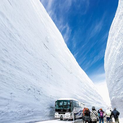 【名古屋出发】春季限时 雪之大谷漫步之旅 立山黑部・室堂平