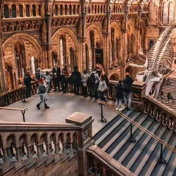 伦敦自然史博物馆·湖南卫视特邀讲师研学精讲【5-16人团】