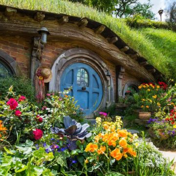 新西兰奥克兰往返：霍比特村+蓝泉+怀托摩+汉密尔顿 中文包车