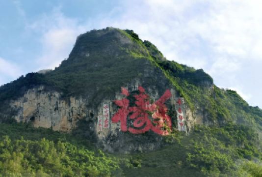 百色-巴马百鸟岩+百魔洞+长寿村一日游【不含门票】【水上芦笛岩】