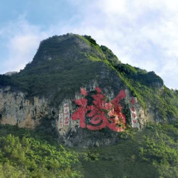 百色-巴马百鸟岩+百魔洞+长寿村一日游【不含门票】