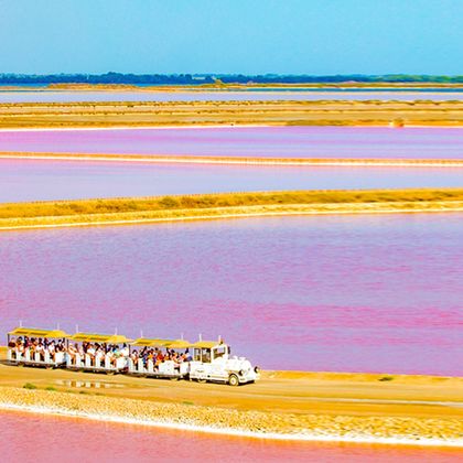 法国马赛粉色盐湖一日游
