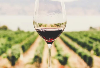 澳洲亚拉河谷一日游：著名酒庄+美食，美酒和野生动物的特色体验【高品质起泡酒品鉴】