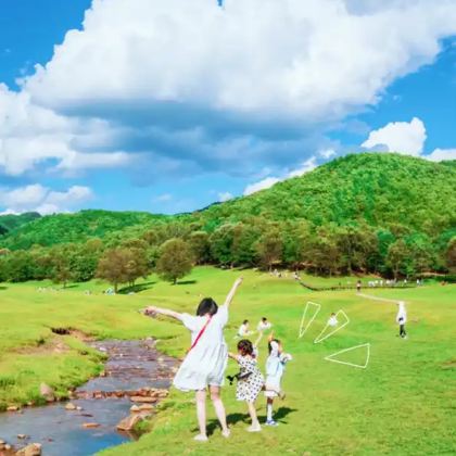 【6人纯玩小团】金山鹿苑+上甘岭溪水国家森林公园一日游