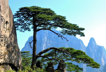 黄山包车地陪导游翻译地接陪同接送旅游展会商务考察陪诊【黄山包车地陪导游翻译地接陪同接送旅游展会商务考察陪诊】