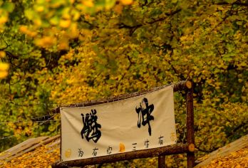 云峰山+银杏村一日游【登云峰赏奇石险峰，游古村醉金色童话】