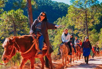 丽江拉市海茶马古道一日游【骑马+午餐+会所+湿地公园+篝火】【出行：保证一人一座，行程透明，丽江古城周边客栈和酒店上门接送】