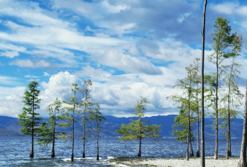 大理喜洲古镇+周城白族+洱海生态廊道+崇圣寺三塔包车1日游【深入洱海西岸腹地，体验白族文化核心。】