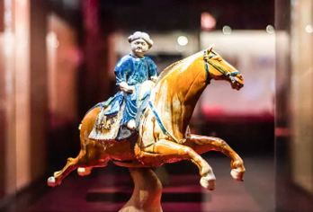 长安文心・西安博物院半日游【含门票-大咖精品讲解-多场次】【一票畅玩多景区，共寻古迹探历史。本地大咖深度讲解，品质无忧，无购物无二次消费，放心出行。】