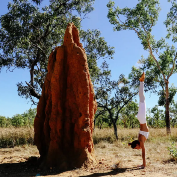 达尔文往返李治菲特国家公园＋瀑布一日游【市区接送丨含午餐】