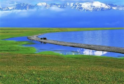 哈密巴里坤草原+巴里坤古城+环游东天山一日游【纯玩无购物】【穿越[东天山]，尽览草原、雪山、森林、湖泊、古城、湿地等景色，解锁极美风光】