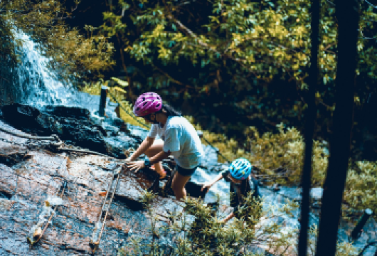 【春节专享】呀诺达一日游•含往返接送•景区门票•游览车【1、探索原始热带雨林，观赏珍稀动植物，感受自然生态之美，适合亲子与户外爱好者。】