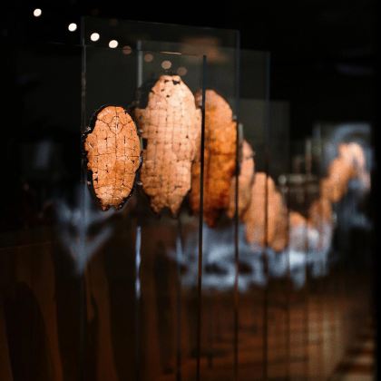 如趣讲堂·殷墟博物馆人工讲解（不含门票）+耳机