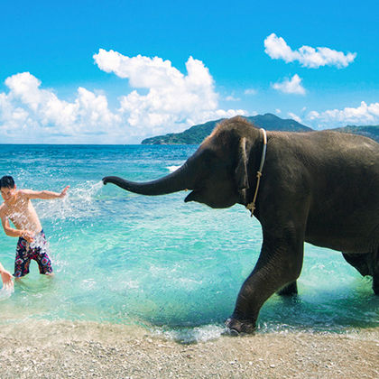 泰国象岛卡贝大象营一日游
