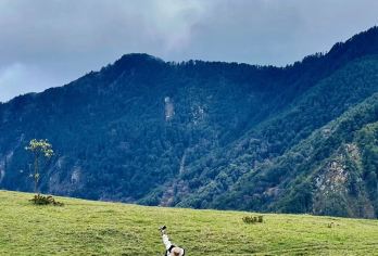 甘海子风景区一日游【户外轻徒步&云海、草甸、森林】【[品质纯玩]纯玩无购物，保证纯净游玩景点】