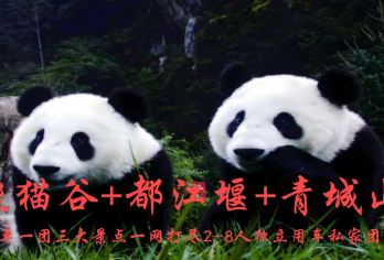 都江堰+青城山+熊猫谷【VIP包车游1单1团1车-上门接送】【[品质承诺]2-8人私家小团-不拼人-不拼车一单一团全程独立用车，成都四环内免费上门接送】