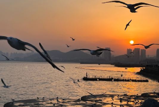 陵水专业赶海+领队+探索橘子岛+赶海工具体验【专业领队带队；辨识海洋物种；赶海研学】