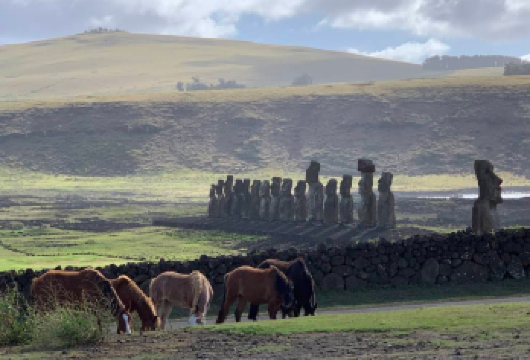 智利 复活节岛Hotu Matua之旅（跟团旅行/1人可订）【中文客服在线服务】