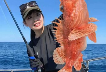 三亚近海海钓帆艇出海丨海钓艇出海纯海钓含探测器专业海钓【[纯玩无购物]游玩灵活，专注体验风景玩乐，轻松享受纯粹游玩】