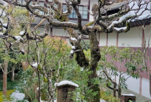 日本京都-琉璃光院-三千院-贵船神社-红叶满天 京都巡礼【专业行程定制，精选热门景点，高效游玩不走回头路，贴心服务保障，轻松】