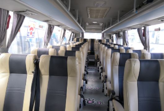 成都出发-四姑娘景区直通车一日游【成都，出发上车地点：春熙路米瑞购物广场、文化宫地铁站，下车地点：长坪沟、双桥沟。】