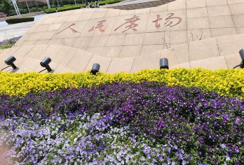 中国上海  陆家嘴+人民广场+东方明珠 行程可调/可英文服务【专车接送】