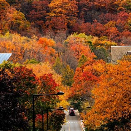 加拿大温哥华维多利亚唐人街一日游/行程可调-悦享旅途